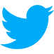 Ícone twitter